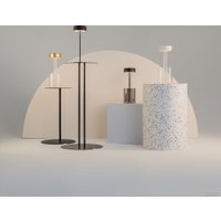 Настольная лампа Maytoni AI Collaboration MOD229TL-L3B3K2