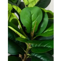 Искусственное растение Merry Bear Home Decor Фикус Лировидный AX297145