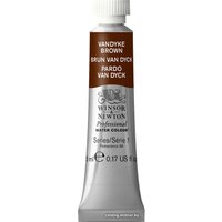 Акварельные краски Winsor & Newton Professional №676 102676 (5 мл, коричневый Ван Дейка)
