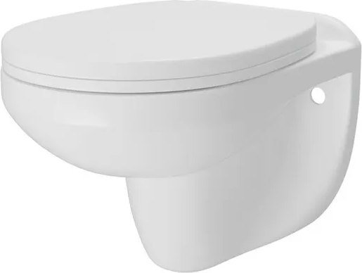 

Унитаз подвесной Teymi Hanna T40900 (с сиденьем)