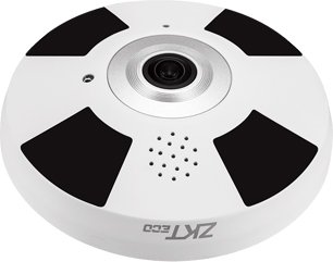 IP-камера ZKTeco DL-858V17C-FS