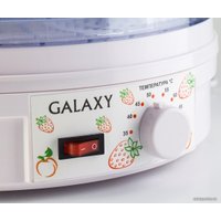 Сушилка для овощей и фруктов Galaxy Line GL2633