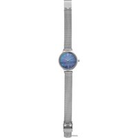 Наручные часы Skagen Anita SKW2862