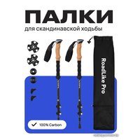 Палки для скандинавской ходьбы RoadLike Carbon 381223 (черный)
