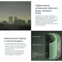 HEPA-фильтр Electrolux FAP-2075 Anti Smog Active