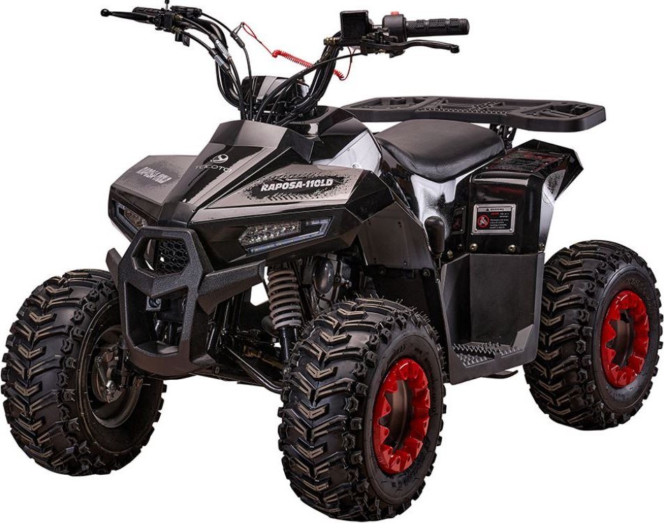 

Квадроцикл Yacota Raposa 110 куб.см. (черный)