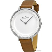 Наручные часы Skagen SKW2214