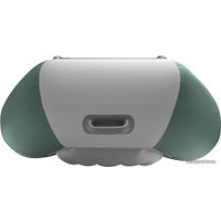 Моторная лодка Roger Boat Trofey 2900 (без киля, зеленый/серый)