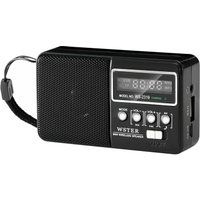 Радиоприемник Wster WS-2319 (черный)