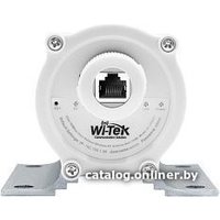 Точка доступа Wi-Tek WI-CPE521