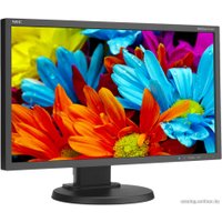 Монитор NEC MultiSync E224Wi Black/Black