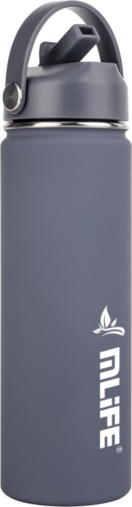 Термос MLIFE 00008933 700 мл (серый)