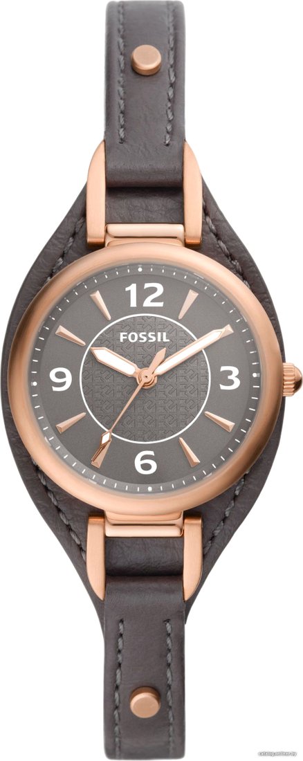 Наручные часы Fossil Carlie ES5212