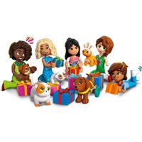 Конструктор LEGO Friends 42668 Advent Calendar 2025