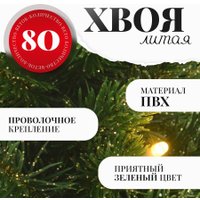 Ель Erbis PE Zielona LED 49