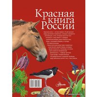  АСТ. Красная книга России (Снегирева Елена Юрьевна/Дунаева Юлия Александровна/Новичонок А.О.)