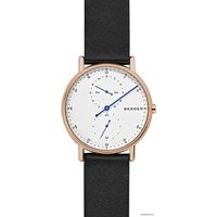 Наручные часы Skagen SKW6390