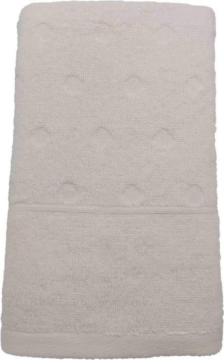 

Полотенце Belezza Ice 50x80 6188077 (молочный/бежевый)