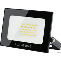 Уличный прожектор Luminarte LFL-20W/05