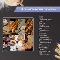 Хлебопечка Zigmund & Shtain ZBM-601