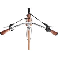 Велосипед Shulz Roadkiller Lady Disk S 2023 (кофейный)