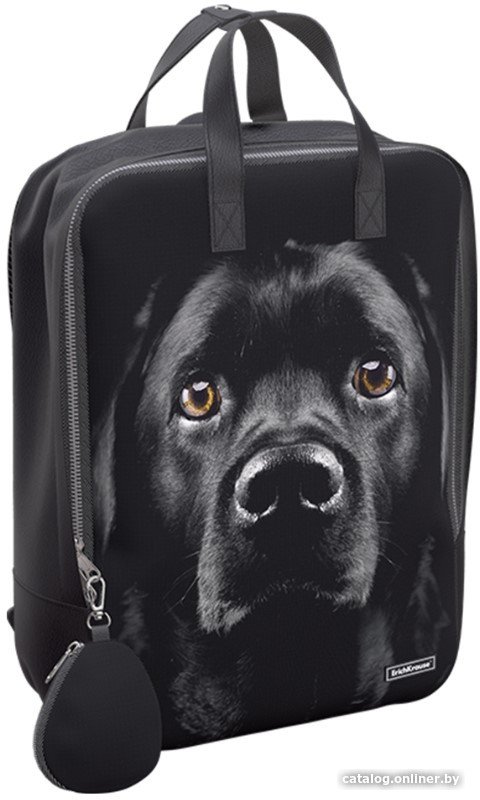 Городской рюкзак Erich Krause StreetLine 16L Black Dog 60343