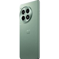 Телефон OnePlus Ace 3 Pro 12GB/256GB китайская версия (зеленый лес)