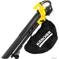 Ручная воздуходувка Karcher BLV 18-200 Battery (без АКБ)