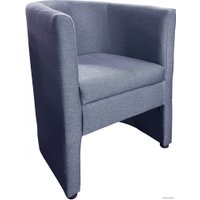 Интерьерное кресло Лама-мебель Рико (Bahama Plus Iris)