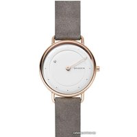 Наручные часы Skagen SKW2739 в Барановичах