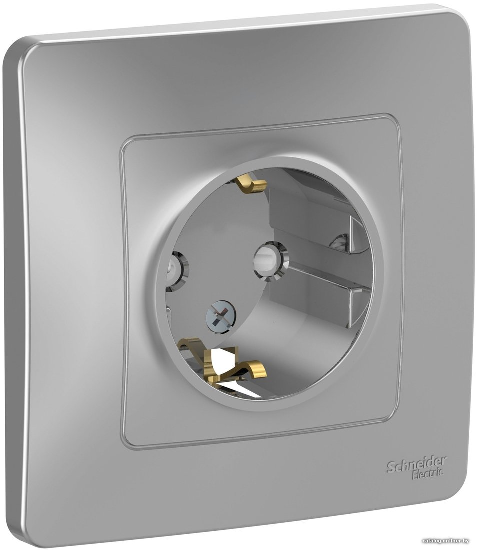 Розетка Schneider Electric BLNRS001113