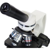 Микроскоп Levenhuk Discovery Atto Polar с книгой 77989 в Бресте