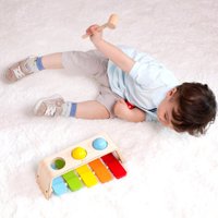 Развивающая игрушка Classic World CW35150