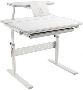 Растущая мебель Study Desk E202S (серый)