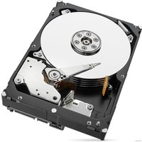 Жесткий диск Seagate Skyhawk 6TB [ST6000VX0023]