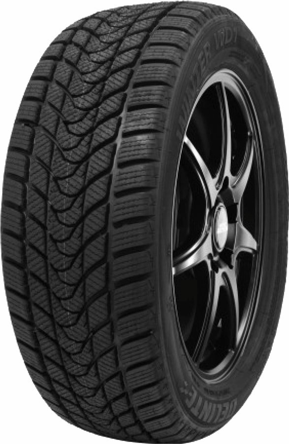 

Зимние шины Delinte Winter WD1 245/50R18 100H