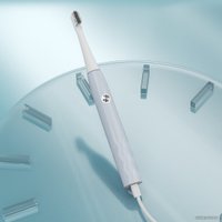 Ирригатор  Evolution WF-01 + Электрическая зубная щетка Enchen T501 (серый)