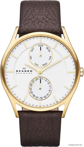 Skagen SKW6066