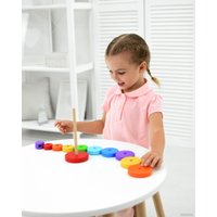 Пирамидка Mega Toys Круг 60106