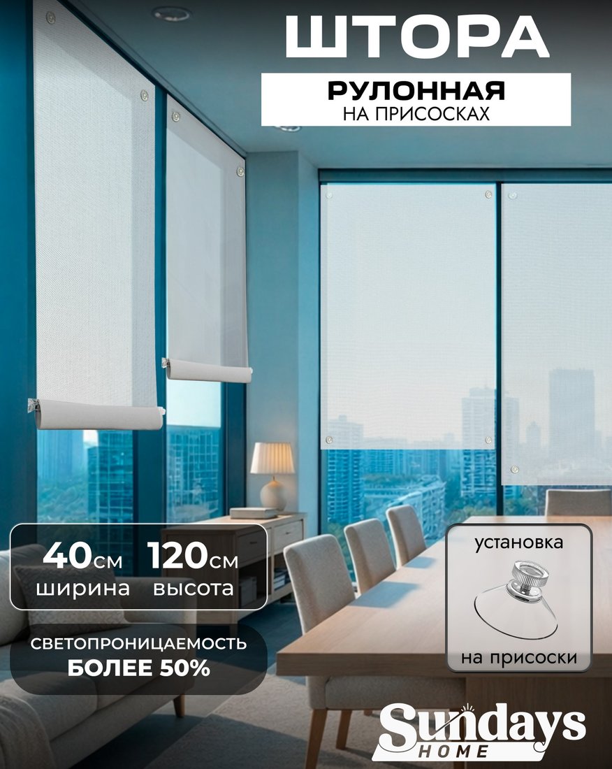 

Рулонные шторы Sundays Home Санскрин 310-01 40х120 (белый, на присосках)
