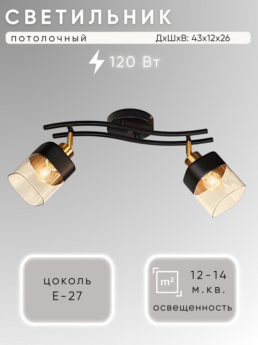 

Спот Aitin Pro НПБ 02-2x60-102 2779/2 (черный)