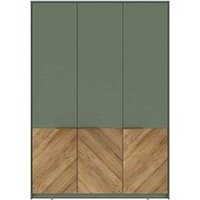 Шкаф-купе Black Red White Siena SZF3D (дымчатый зеленый/дуб вотан) в Витебске