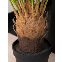 Искусственное растение Merry Bear Home Decor Пальма Саговая Цикас AR22083