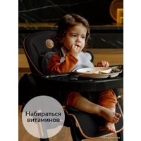 Высокий стульчик Amarobaby Elegant AB23-23EL/09 (черный)