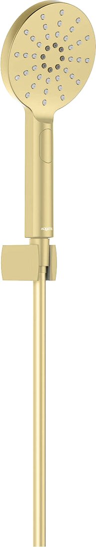 

Душевой гарнитур Aquatek Оберон AQ2033BG (золото)