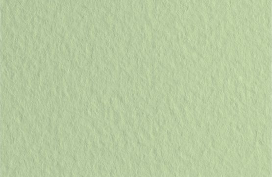 

Бумага для сухих техник Невская палитра Мастер-Класс 50х65 см 275452475 (10 л, фисташковый)