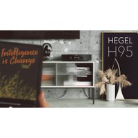 Интегральный усилитель Hegel H95