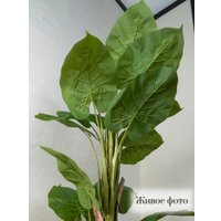 Искусственное растение Merry Bear Home Decor Филодендрон AZ01140