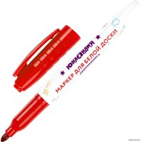 Набор маркеров Юнландия Colorway 152100 (10 шт)