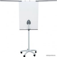 Магнитно-маркерная доска CACTUS CS-FCR-M67x105